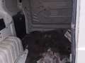 Fiat Fiorino Basis Kasten *MOTOR KEINE KOMPRESSION* Weiß - thumbnail 6