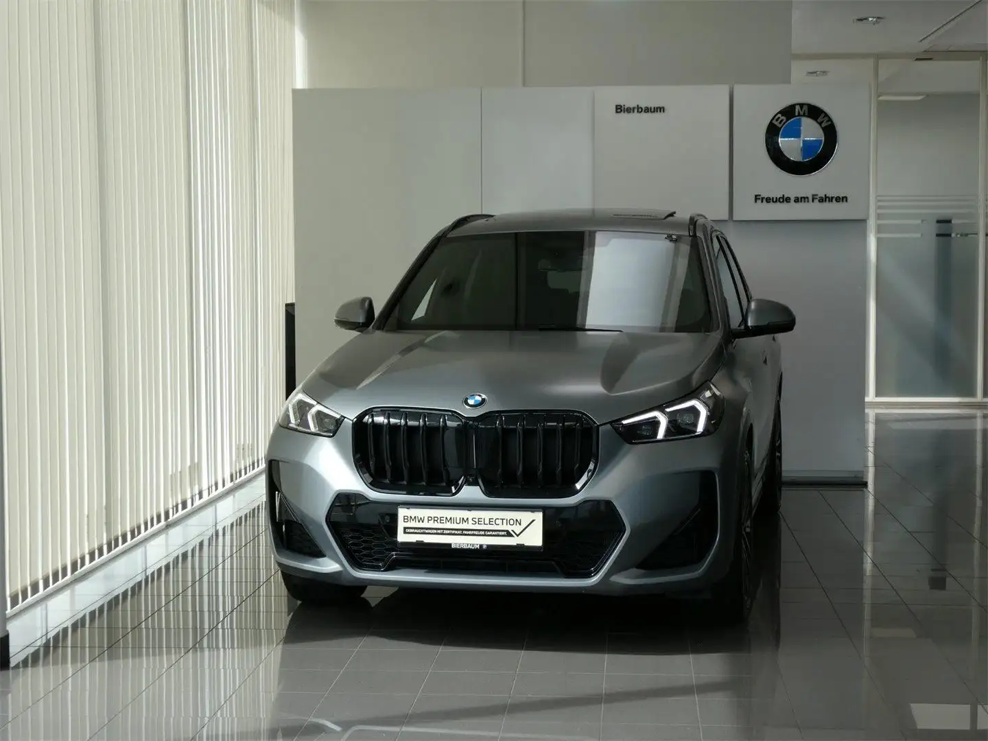 BMW X1 xDrive23d Grigio - 2