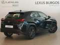 Lexus UX 250h BUSSINES 2WD Schwarz - thumbnail 4