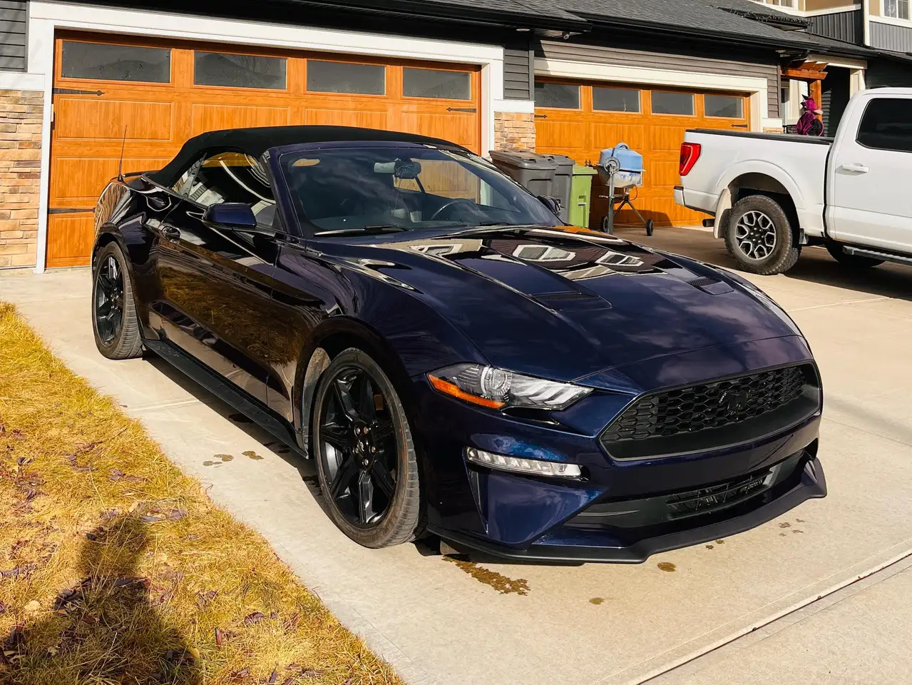 Ford Mustang снимка Ford Mustang