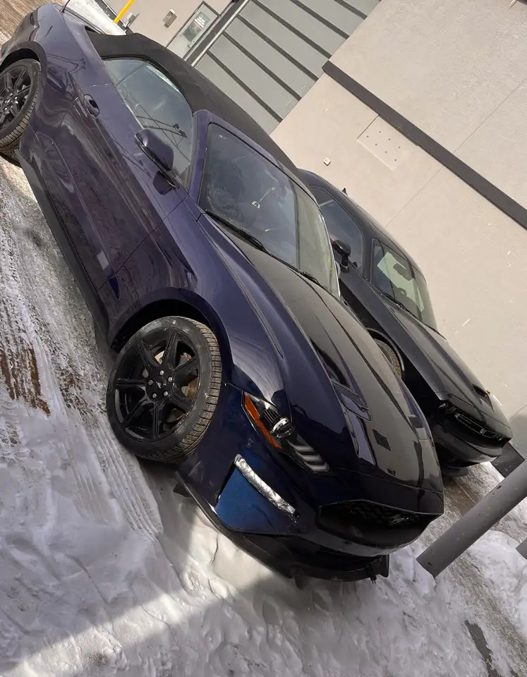 Ford Mustang снимка Ford Mustang