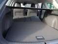 SEAT Leon Style Edition 1.5TSI 115PS Grau - thumbnail 40