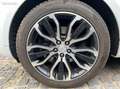 Land Rover Range Rover Sport Land 3.0 tdv6 260cv hse 4wd bva Wit - thumbnail 27
