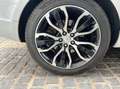 Land Rover Range Rover Sport Land 3.0 tdv6 260cv hse 4wd bva Wit - thumbnail 28