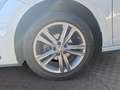 Volkswagen Polo Comfortline 1,0 TSI 95PS Grau - thumbnail 14