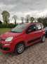 Fiat Panda fiat panda - thumbnail 1
