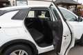 Opel Grandland X LED-360Grad-P.Dach-Sitzlüftung Weiß - thumbnail 12