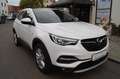 Opel Grandland X LED-360Grad-P.Dach-Sitzlüftung Wit - thumbnail 15