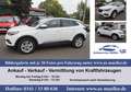 Opel Grandland X LED-360Grad-P.Dach-Sitzlüftung Weiß - thumbnail 1
