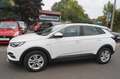 Opel Grandland X LED-360Grad-P.Dach-Sitzlüftung Wit - thumbnail 2