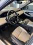 Land Rover Range Rover Evoque Range Rover Evoque 2.0d i4 mhev R-Dynamic S awd Bianco - thumbnail 10