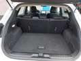 Ford Puma 1.0 EcoBoost Mild-Hybrid Titanium 125PK|Navi|LED|M Wit - thumbnail 26