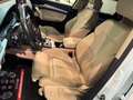 Audi Q5 Sportback SPB TDI Pelle Cerchi 20 Luci ambient Blanc - thumbnail 10