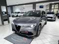 Alfa Romeo Stelvio 2.2 Turbodiesel 160 CV AT8 RWD Business Grigio - thumbnail 1