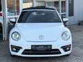Volkswagen Beetle Cabriolet Sound NAVI+PDC+GRA+SHZ+NSW+17" Weiß - thumbnail 4