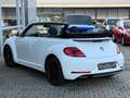 Volkswagen Beetle Cabriolet Sound NAVI+PDC+GRA+SHZ+NSW+17" Weiß - thumbnail 7