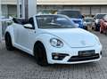 Volkswagen Beetle Cabriolet Sound NAVI+PDC+GRA+SHZ+NSW+17" Weiß - thumbnail 5