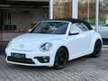 Volkswagen Beetle Cabriolet Sound NAVI+PDC+GRA+SHZ+NSW+17" Weiß - thumbnail 2