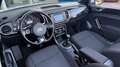 Volkswagen Beetle Cabriolet Sound NAVI+PDC+GRA+SHZ+NSW+17" Weiß - thumbnail 17