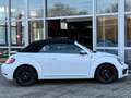 Volkswagen Beetle Cabriolet Sound NAVI+PDC+GRA+SHZ+NSW+17" Weiß - thumbnail 16