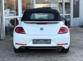 Volkswagen Beetle Cabriolet Sound NAVI+PDC+GRA+SHZ+NSW+17" Weiß - thumbnail 10