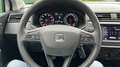 SEAT Ibiza 1.0 MPI Reference / Weinig Kilometers / GARANTIE Wit - thumbnail 20