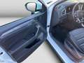 Volkswagen T-Roc 1.0TSI Style Leder Sitzheizung LED AppConn Weiß - thumbnail 14