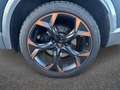 CUPRA Formentor 2.0 tsi VZ 245cv dsg Argent - thumbnail 5