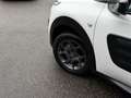 Citroen C4 Cactus 1.2 PureTech Shine Led Navi Camera Cruise Wit - thumbnail 23