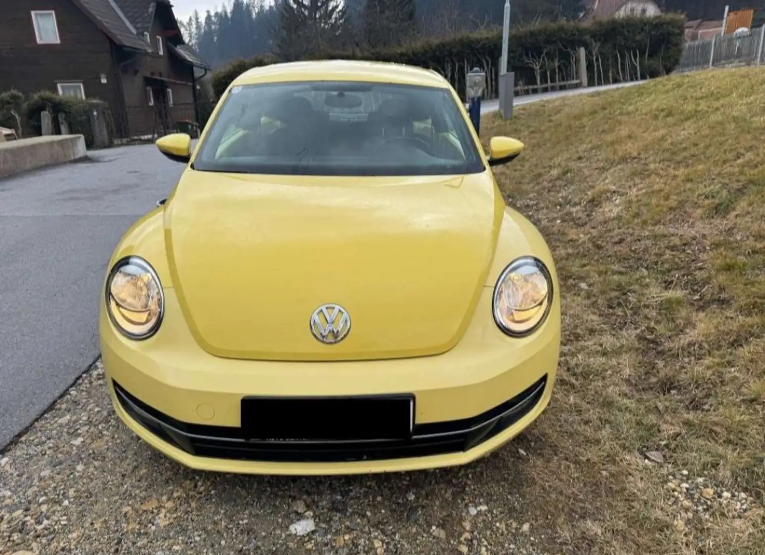 Volkswagen Beetle 1,6+TDI+Design - 1