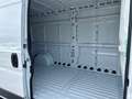 Fiat Ducato 35 MH2 2.2 Mjt3 120CV E6D-fin Bianco - thumbnail 10