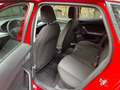 SEAT Ibiza 1.0 mpi Reference 80cv Rosso - thumbnail 6