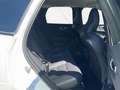 Volvo XC60 B4 D AWD Aut. Plus Dark +ACC +Voll-LED Weiß - thumbnail 13