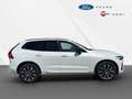 Volvo XC60 B4 D AWD Aut. Plus Dark +ACC +Voll-LED Weiß - thumbnail 5