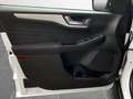 Ford Kuga Cool & Connect PHEV AHK*Navi*LM*WiPa* Weiß - thumbnail 17