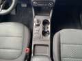 Ford Kuga Cool & Connect PHEV AHK*Navi*LM*WiPa* Weiß - thumbnail 9