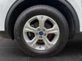 Ford Kuga Cool & Connect PHEV AHK*Navi*LM*WiPa* Weiß - thumbnail 15