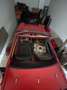 Fiat 850 Sport Spider Rouge - thumbnail 4