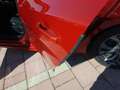 Ford Focus Turnier 1.0 EcoBoost ST-Line X Navi Pano LED Roşu - thumbnail 13