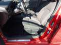 Ford Focus Turnier 1.0 EcoBoost ST-Line X Navi Pano LED Roşu - thumbnail 15