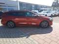 Ford Focus Turnier 1.0 EcoBoost ST-Line X Navi Pano LED Roşu - thumbnail 5