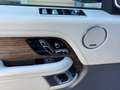 Land Rover Range Rover 4.4 sdV8 Vogue auto my19 Blau - thumbnail 9
