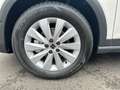 SEAT Arona 1.0 TSI Style Edition DSG, AHK, RFK Weiß - thumbnail 9
