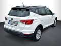 SEAT Arona 1.0 TSI Style Edition DSG, AHK, RFK Weiß - thumbnail 4