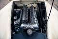 Jaguar XK 120 OTS | MOSS GEARBOX | MILLE MIGLIA ELIGIBLE Blanc - thumbnail 33