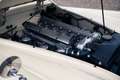 Jaguar XK 120 OTS | MOSS GEARBOX | MILLE MIGLIA ELIGIBLE Wit - thumbnail 32