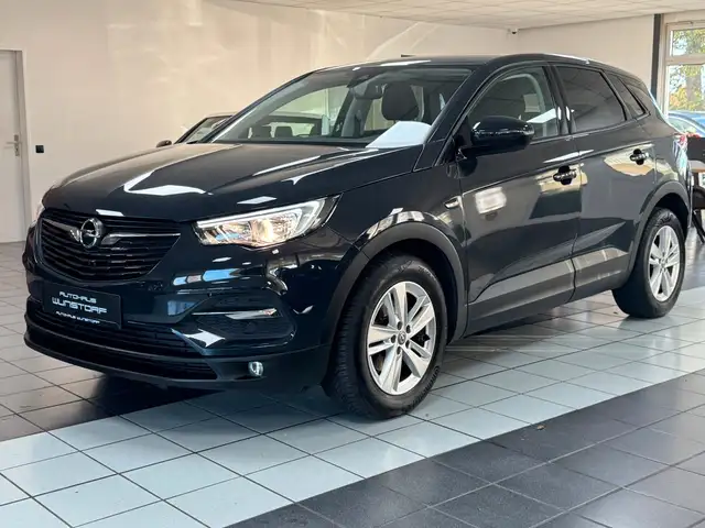 Opel Grandland X 1.2 Turbo CAM/APP CONNECT/SHZ/