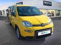 Fiat Panda Pandina 1.0 Hybrid Amarillo - thumbnail 3