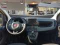 Fiat Panda Pandina 1.0 Hybrid Amarillo - thumbnail 13
