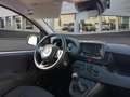 Fiat Panda Pandina 1.0 Hybrid Amarillo - thumbnail 14